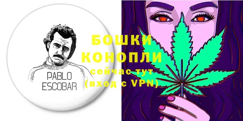 Бошки Шишки SATIVA & INDICA  Ершов 